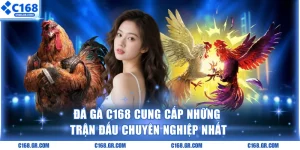 Đá gà C168