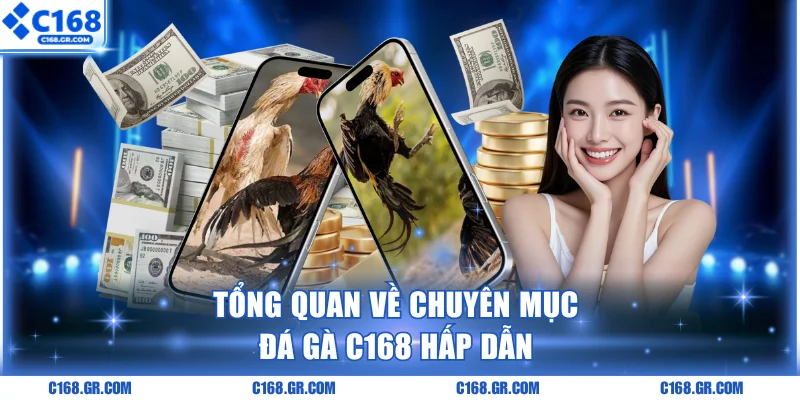 Đôi nét thông tin về đá gà C168