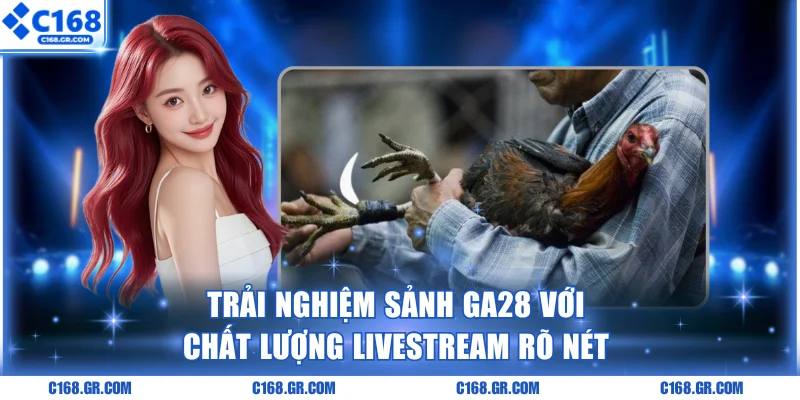 Gia nhập sảnh GA28 thưởng thức livestream rõ nét
