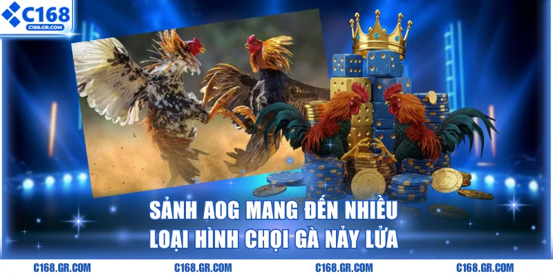 Sảnh đá gà C168 AOG cung cấp nhiều loại hình hấp dẫn